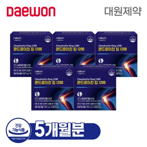대원제약 콘드로이친킹 1200