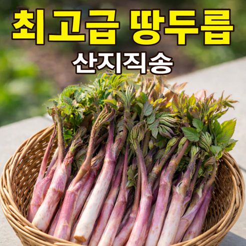 [역대노마진] 향긋한향 딱100박스만 제철 땅두릅