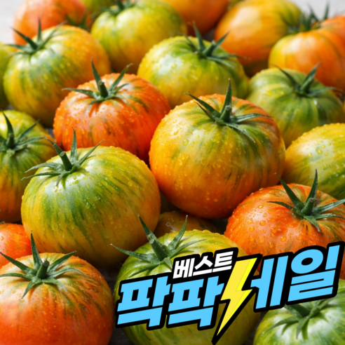 초신선 초특가 부산 대저토마토 짭짤이