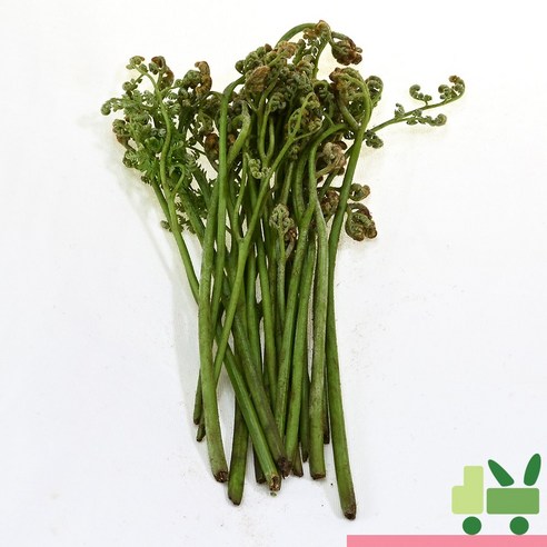 사라상회 생고사리 4kg