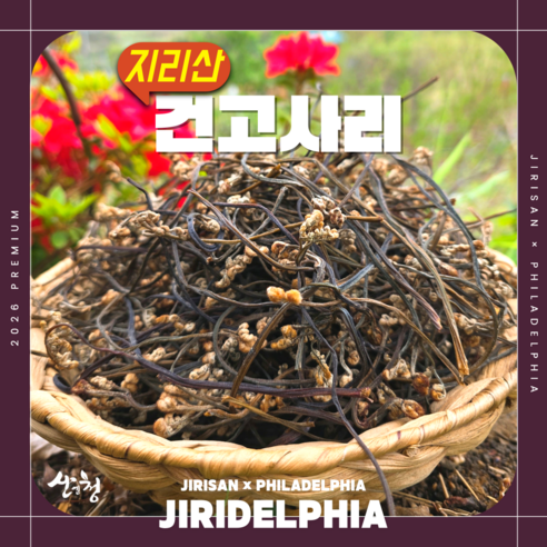 [지리산 산청] 고지대 26년도 자연산 최상급 햇 건고사리 - 3대째 이어온 손맛, 전통 가마솥 방식 800m 이상 고지대에서 채취한 진짜 자연산 직접 꺾고 불에 삶은 정성 그대로, 1개, 600g