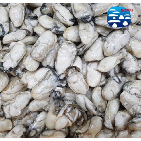 통영 냉동굴 급냉 중,대,특대 1kg
