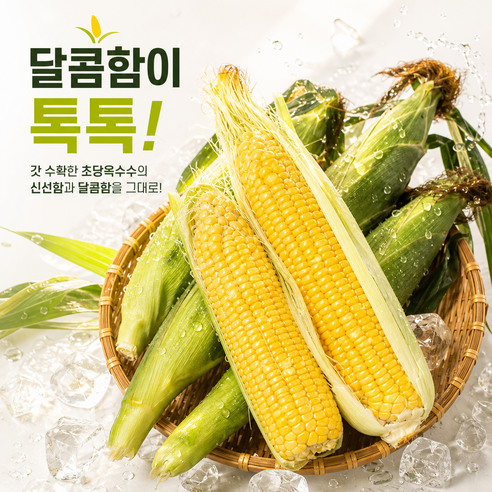 [당일수확출고] 다이어트 최고간식 산지직송 초당옥수수, 20개, 특품