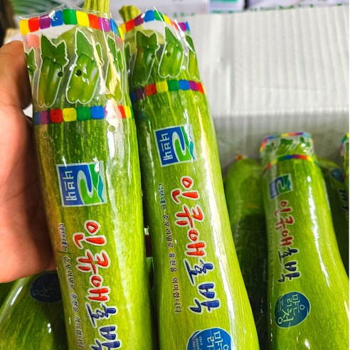 (삼형제청과)국내산 애호박 식자재 업소 식당용 못난이