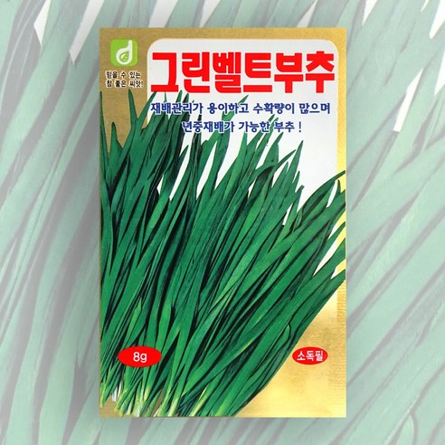 그린벨트부추씨앗 8g 한국대농종묘 부추 종자 부추 씨앗 텃밭가꾸기, 1개