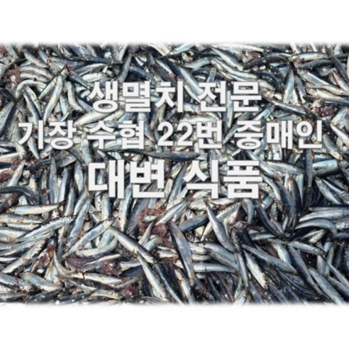 생멸치 소금간, 젓갈, 대변항, 기장, 멸치젓, 멸치, 김장, 봄멸치, 업소용, 가정용