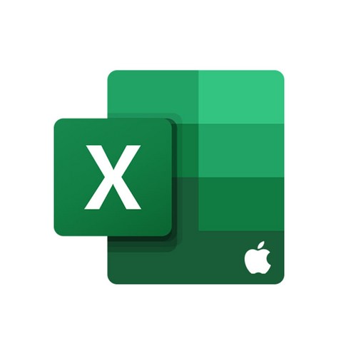 MS인증점 Excel LTSC 2024 for Mac 기업용 신규 영구 라이선스 (CSP) 엑셀 맥용