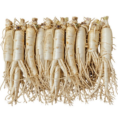 풍기인삼 6년근 최상품 황수삼 300g~1kg 산지직송 세척수삼 신선배송 건강선물 삼영인삼사