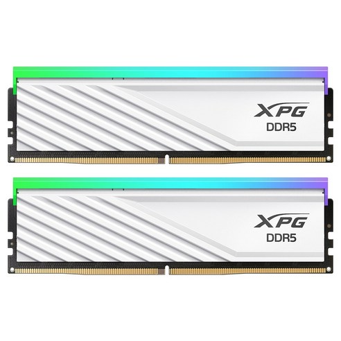 ADATA DDR5-6000 CL30 LANCER BLADE RGB 화이트 패키지 서린 (64GB(32Gx2))