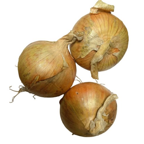 국내산 잘말려 단단한 무안 첫수확 26년 조생 하우스 햇양파 2kg/ 3kg/ 5Kg / 10Kg 중대혼합, 1개, 5kg 짱아찌 미니 조생햇양파