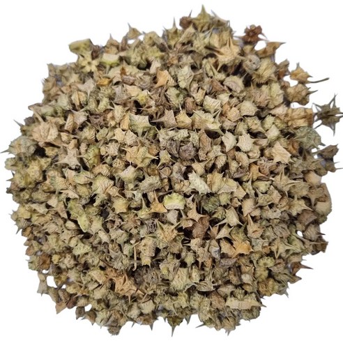 엄선한  백질려(400g)-인도산