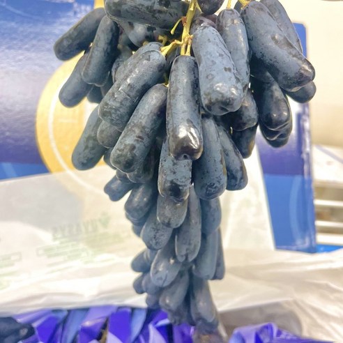 [제니네 제철과일] 산지직송 블랙사파이어 씨없는 가지포도 500g 1kg 2kg 4kg 8.2kg