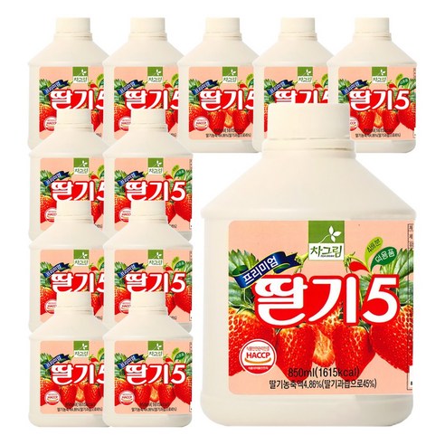 차그림 과일 원액 프리미엄 딸기 5 쥬스