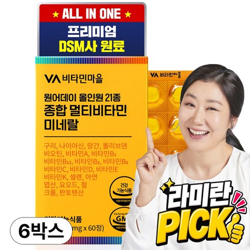 비타민마을 원어데이 올인원 21종 종합 멀티비타민 미네랄, 60정, 6개