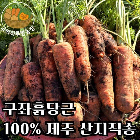 [고씨하루방농장] 제주명품 햇당근 구좌흙당근, 1박스, 10kg (상)