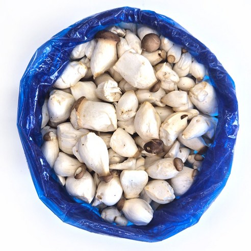 클릭마켓 국내산 못난이 미니 새송이버섯, 1개, 500g