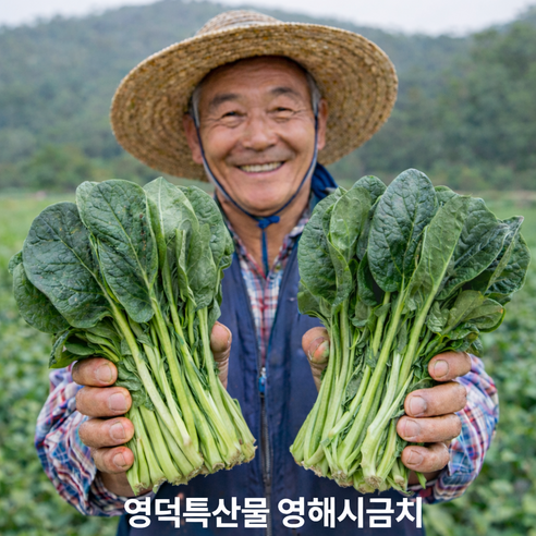 [리초이샵] 영덕 특산물 영해시금치 신선한 포항 영해초 농가직송 시금치 1단, 2단, 3단, 4단