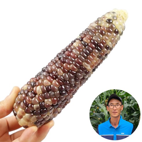 햇살농원 강원도 정선 냉동 흑찰 옥수수  찜 후 냉동