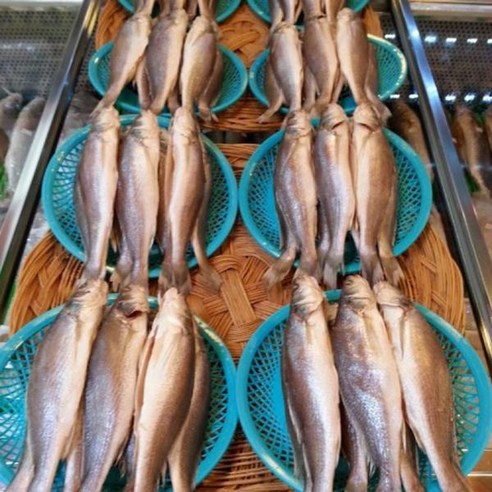 싱싱수산 제수용 뾰족조기3미(41~42cm내외)