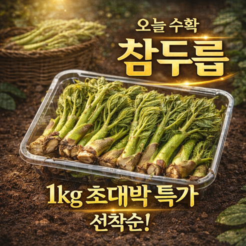 [초특가] 국산 자연산 참두릅 산지직송, 1개, 300g