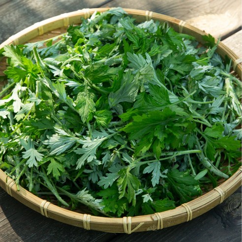 [산지직송] 나물투데이 참쑥 쑥 무농약인증, 1개, 1kg
