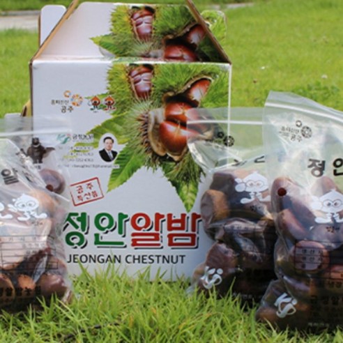 공주 정안 햇 밤 생밤 대특