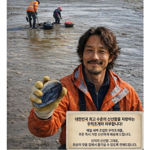 우럭조개 1kg 자연산 조개 남해안 당일채취 해감 [명교수산]