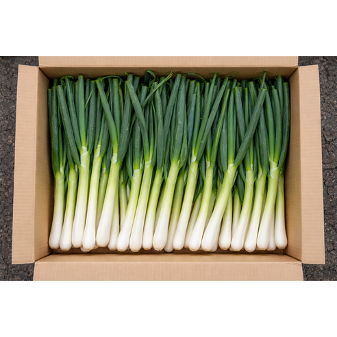 국내산 신선한 손질 대파, 1개, 5kg