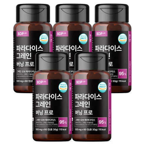 비디피랩 파라다이스 그레인 버닝 프로 HACCP 인증