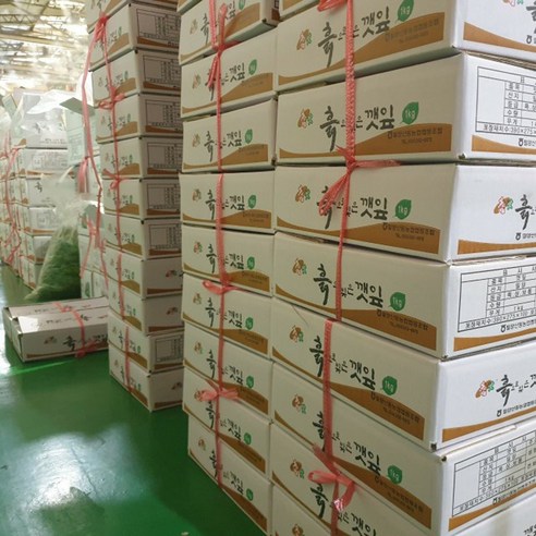 클릭마켓 국내산 가죽나물 참죽 가죽 나무 순 참죽나물, 1개, 500g