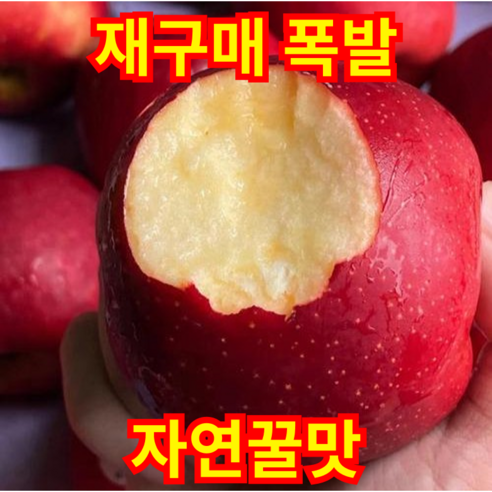 [5월특가]재구매폭발 자연꿀맛 아삭식감 신선농부 못난이사과, 1박스, 2kg