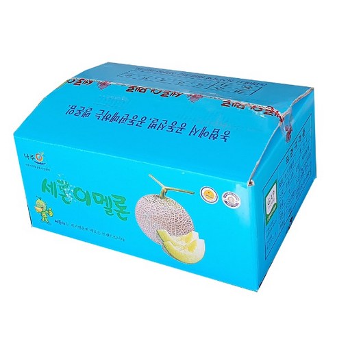 세론이 메론5kg 고당도12브릭스 나주멜론, 1개