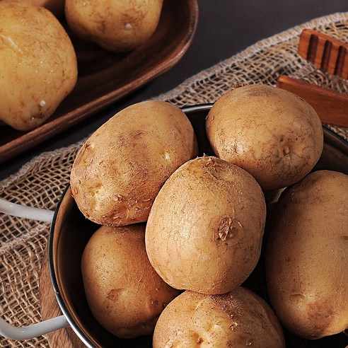지금수확중 수미 햇 감자 포슬포슬 수미감자 당일선별방송, 햇 감자 10kg (중/통구이용), 1개