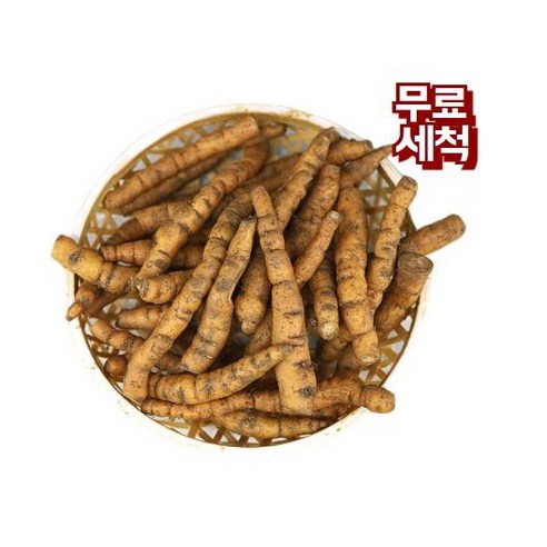 금산 국산 생지황 600g 무료세척 세척 햇 생지황
