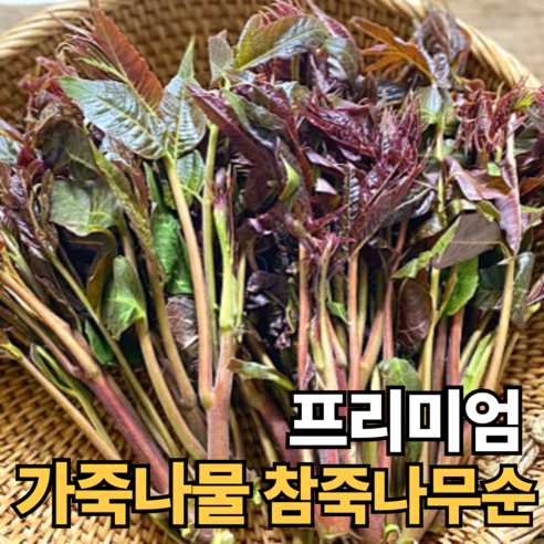 [100박스특가] 국산 가죽나물 참죽나무순 자연산