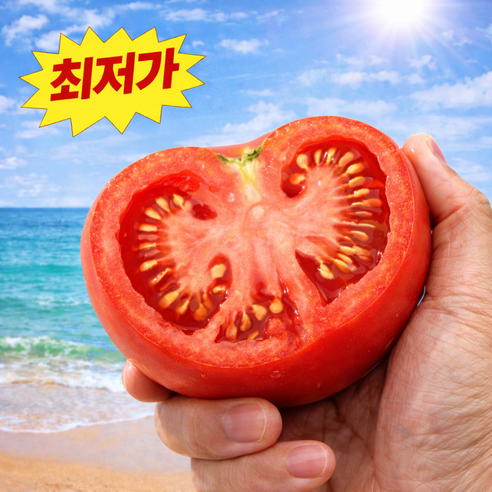 [파격초특가] 100박스한정 재구매율1위 진한풍미 완숙토마토