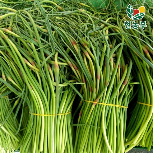 산지직송 국산 경북 창녕 의성 햇 마늘쫑, 1박스, 2kg