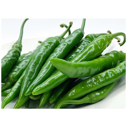 야채왕 아삭이고추 오이고추 200g