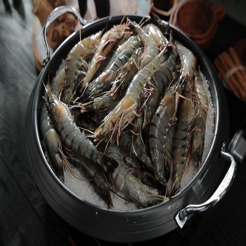 모조나인 캠핑,선물용 킹 블랙타이거 새우, 2박스, 500g(10미)