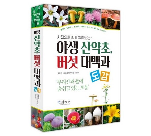 생명과 약의 연결고리: 생명 과학과 의학의 만남을 깊이 탐구한 책