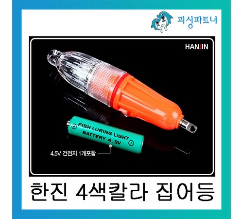 갈치집계의 전형적인 모습