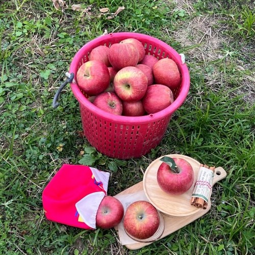 안동사과 3kg 부사 못난이사과 가정용사과, 1박스, 못난이사과 (가정용 흠과)/22-26과 (미니~소과)