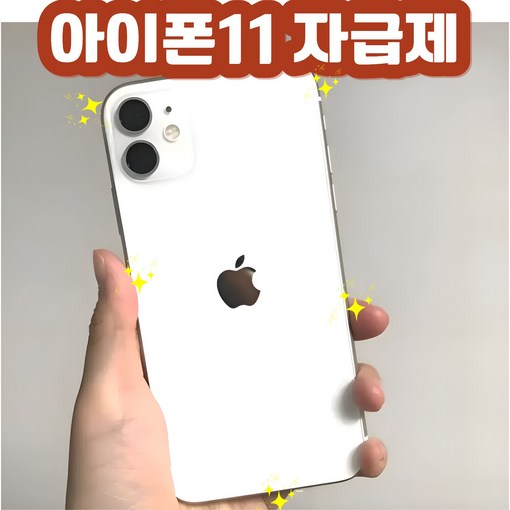 Apple 아이폰 11 자급제