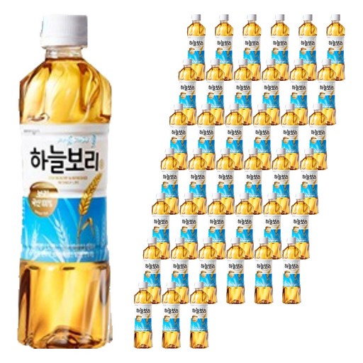 하늘보리