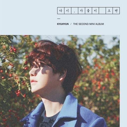 圭現 再見秋天 迷你2輯, 1CD