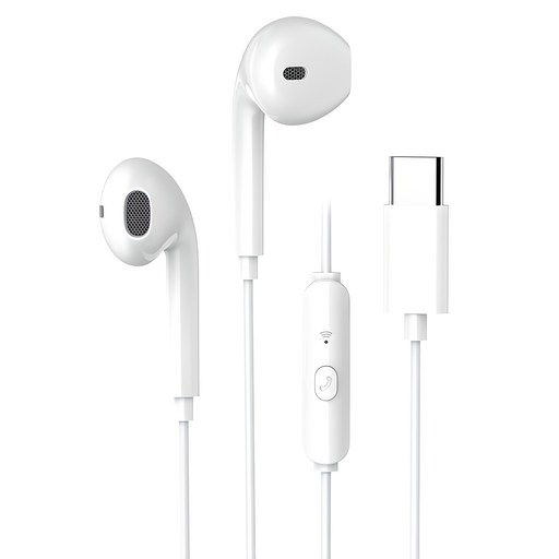 맥스틸 애플 아이폰 삼성 갤럭시 호환 C타입 오픈형 유선 이어폰