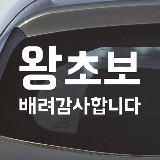 모노먼트 초보운전 왕초보 스티커 배려감사합니다 NB-062