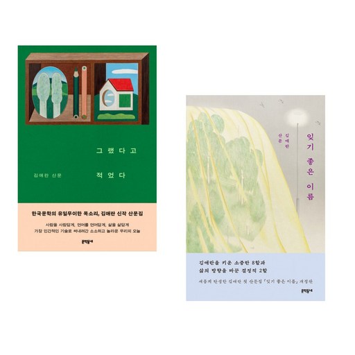 (김애란 에세이) 그랬다고 적었다 + 잊기 좋은 이름 (전2권)