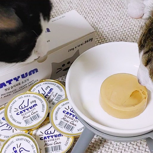 베러펫 캣냠 습식사료 고양이캔 고양이사료 연어황태참치 30g, 36개, 36개