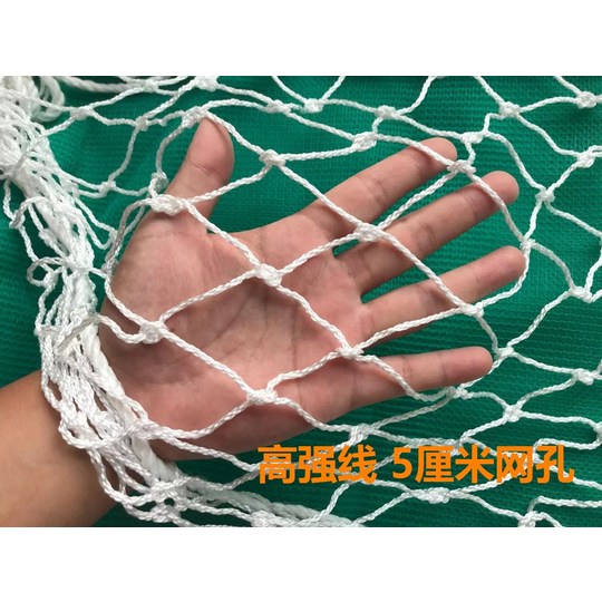e6016c6c53ceedd81232198668154e9ac4ebacab524e5dc7fb7e47e5af77.jpg
